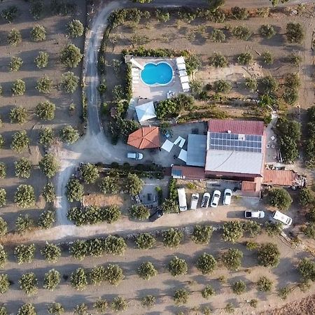 Terra Nostra Bed & Breakfast Cattolica Eraclea Bagian luar foto